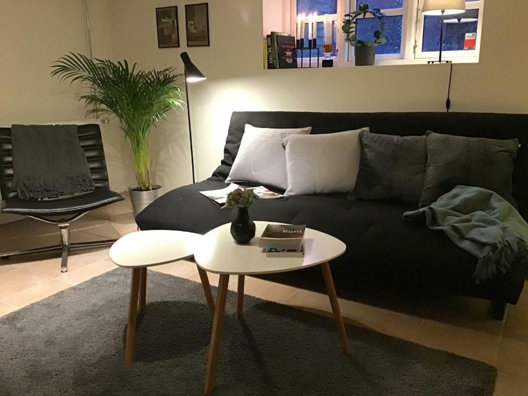 Special Offer,One Of Its Kind, Extremely Central In Herning, Danish Hosts, Extremely Clean, Very Quiet Street But A Stonethrough From Bars & Restaurants Apartment ภายนอก รูปภาพ